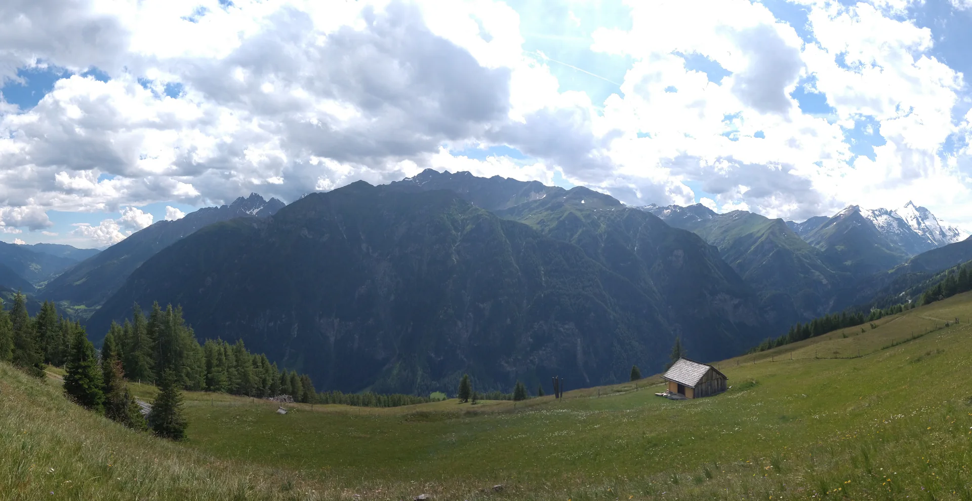 Saftige Almwiesen mit Blick Richtung Schobergruppe