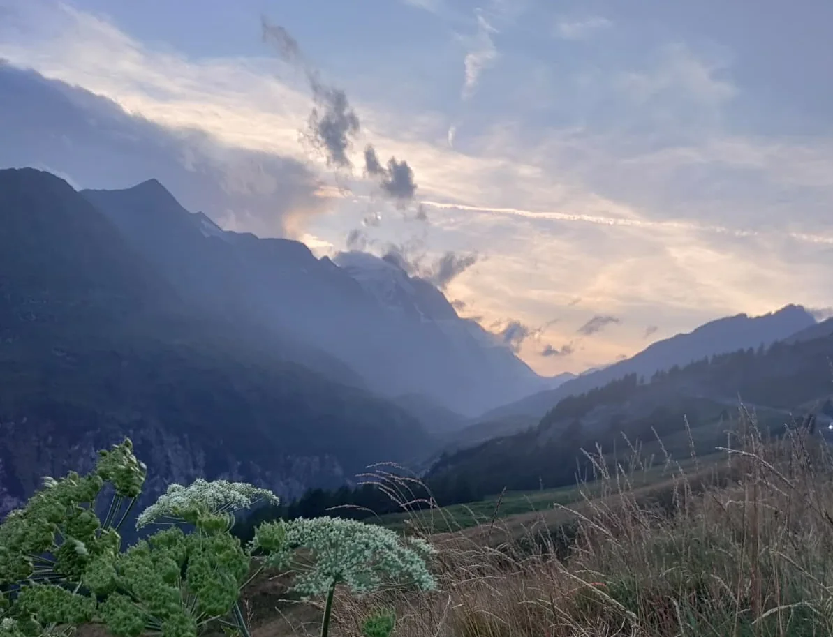 Sonnenuntergang Richtung Großglockner mit Schafgarbe im Vordergrund