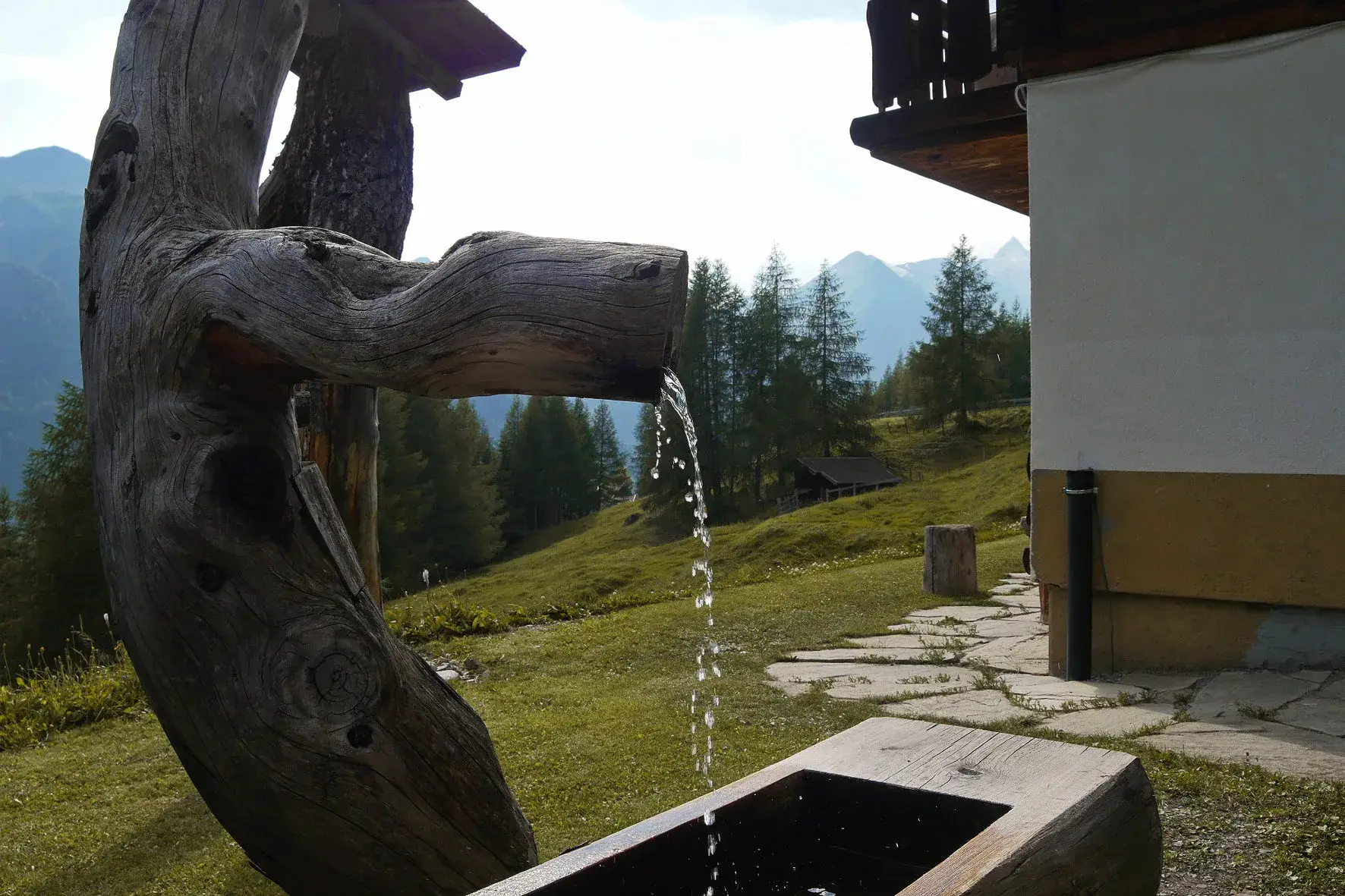 Freiraum pur und Entspannung