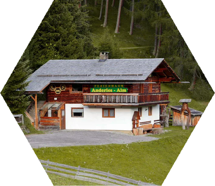 Ferienhaus Anderles-Alm