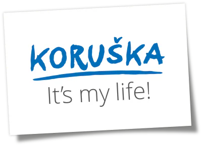Partner Logo